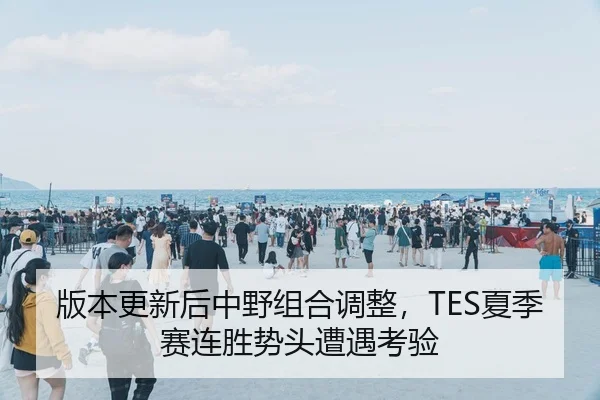版本更新后中野组合调整，TES夏季赛连胜势头遭遇考验