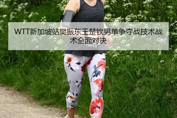 xin-jia-po-zhan-fan-zhen-dong-wang-chu-qin-nan-dan-zheng-duo-zhan-ji-shu-zhan-shu-quan-mian-dui-jue-3-421.jpg
