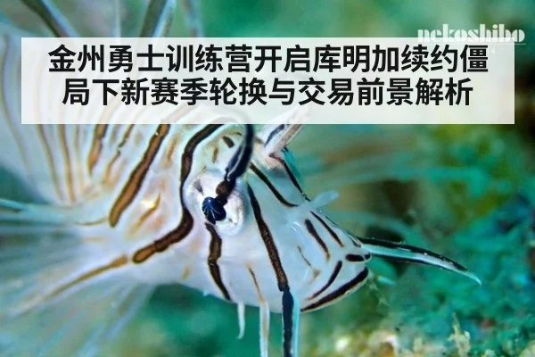 金州勇士训练营开启库明加续约僵局下新赛季轮换与交易前景解析